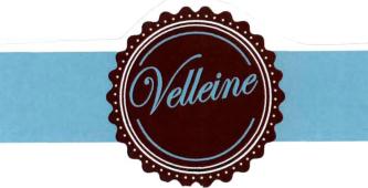 Trademark VELLEINE + Logo