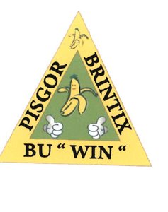 Trademark Pisgor Brintix "Bu Win"