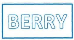 Trademark BERRY