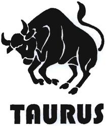 Trademark TAURUS