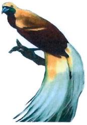 Trademark Lukisan BURUNG