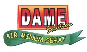 Trademark DAME SOLUTION & LOGO