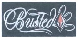 Trademark Busted + logo