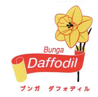 Trademark BUNGA DAFFODIL + LUKISAN BUNGA & HURUF JEPANG (BUNGA DAFHODEIRU)