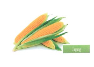 Trademark Jagung