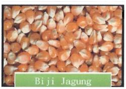 Trademark BIJI JAGUNG