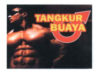 Trademark TANGKUR BUAYA + Lukisan