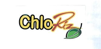 Trademark CHLORIZ + LOGO