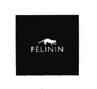 Trademark FELININ + Lukisan