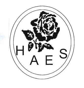 Trademark HAES + Lukisan