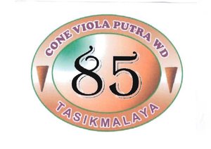 Trademark CONE VIOLA PUTRA WD 85