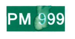 Trademark PM 999