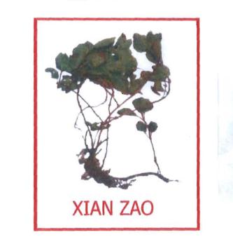 Trademark XIAN ZAO + Lukisan