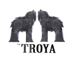 Trademark CAP TROYA