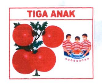 Trademark TIGA ANAK & Logo