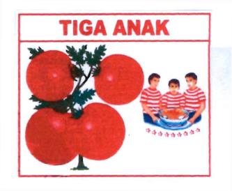 Trademark TIGA ANAK & Logo