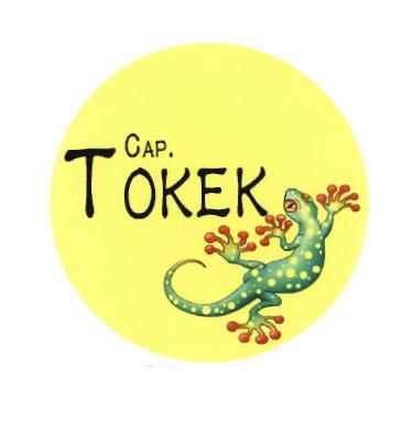 Trademark TOKEK