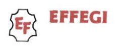 Trademark EFFEGI + Logo