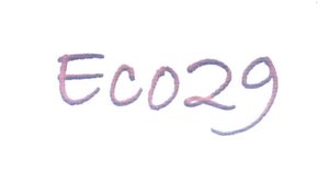 Trademark ECO29