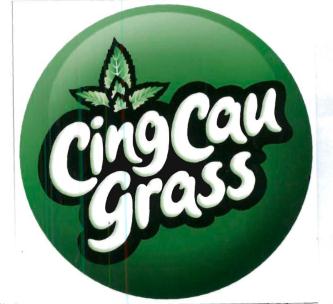 Trademark CINGCAUGRASS + Logo