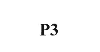 Trademark P3