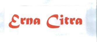 Trademark Erna Citra