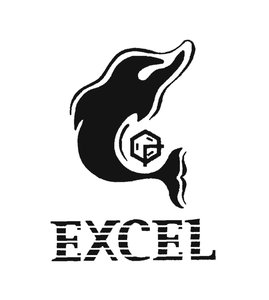 Trademark EXCEL +Logo FLIPPER