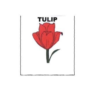 Trademark TULIP + GAMBAR