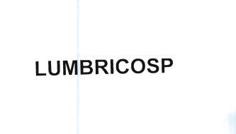 Trademark LUMBRICOSP