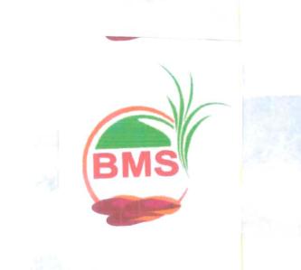 Trademark BMS