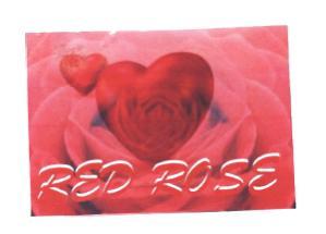 Trademark RED ROSE + LOGO