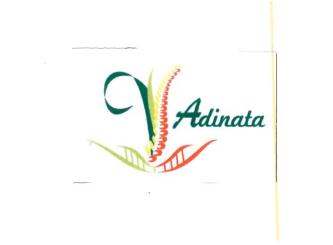 Trademark ADINATA