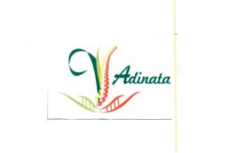 Trademark ADINATA