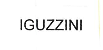 Trademark IGUZZINI