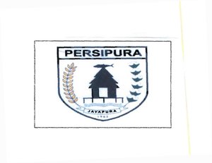 Trademark PERSIPURA + logo