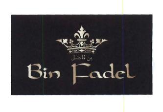 Trademark BIN FADEL