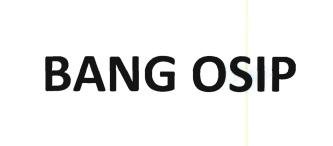 Trademark BANG OSIP