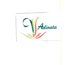 Trademark ADINATA