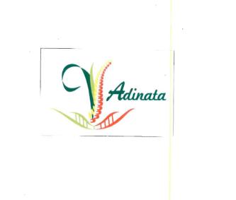 Trademark ADINATA