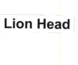 Trademark LION HEAD