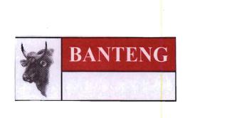 Trademark BANTENG