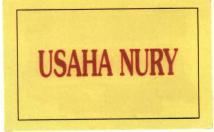 Trademark USAHA NURY