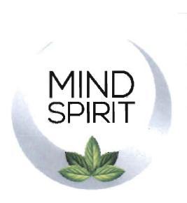 Trademark MIND SPIRIT