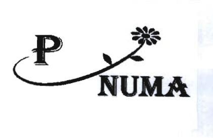 Trademark P NUMA + LOGO