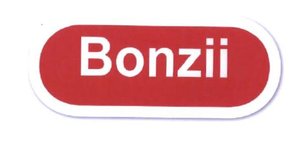 Trademark BONZII