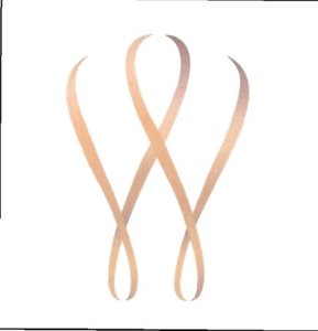 Trademark LOGO WDC WHITE