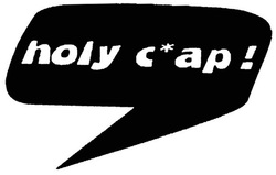 Trademark HOLY C*AP !+ LOGO