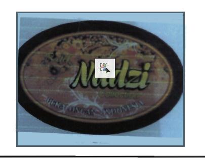 Trademark nadzi