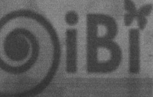 Trademark IBI + LOGO