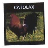 Trademark CATOLAX